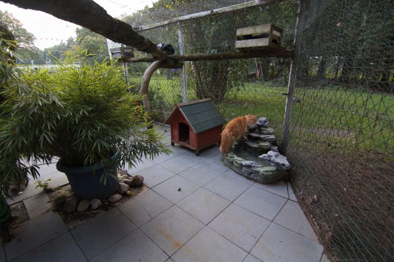 Außenbereich Hauptgehege mit Brunnen
